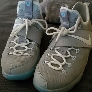 Lebron 14 xiv mag Marty Mcfly